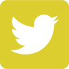 Twitter icon in yellow